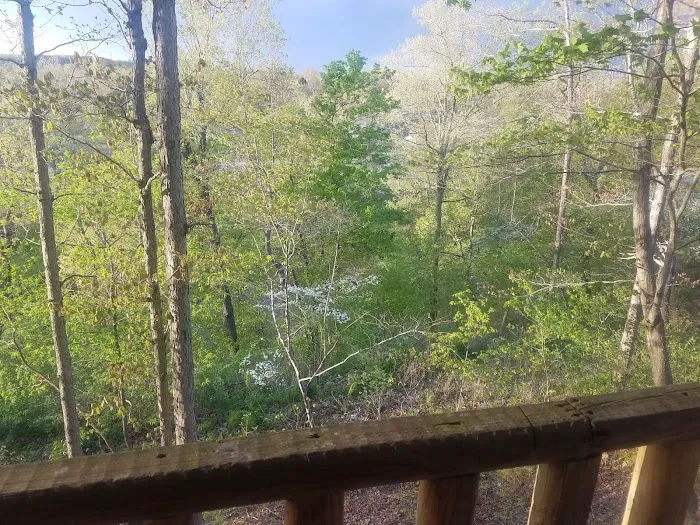 Jewells RV Park Picture 10