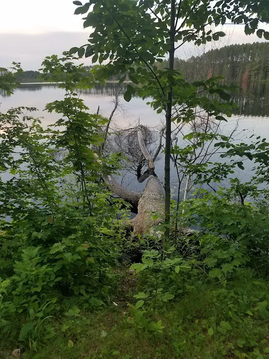 Wolf Lake Campsite Picture 10