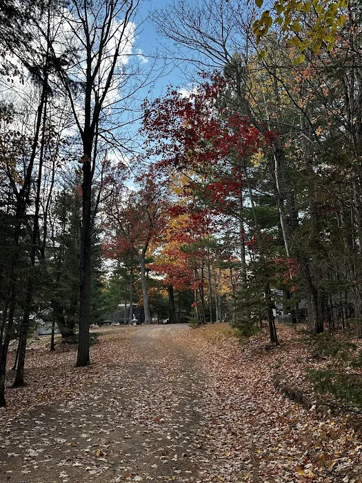 Chain O' Lakes Camping Resort Picture 6