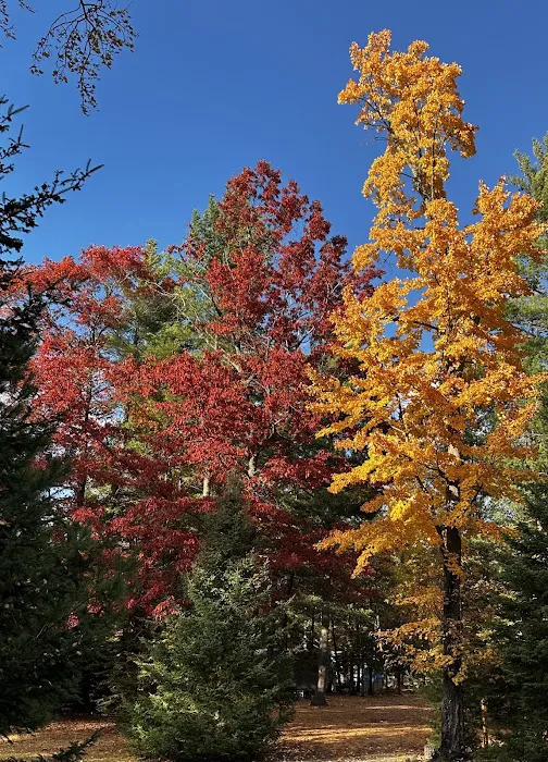 Chain O' Lakes Camping Resort Picture 7