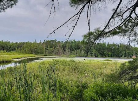 Laurel Lake Campground