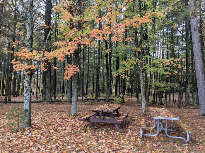 Laurel Lake Campground Picture 9