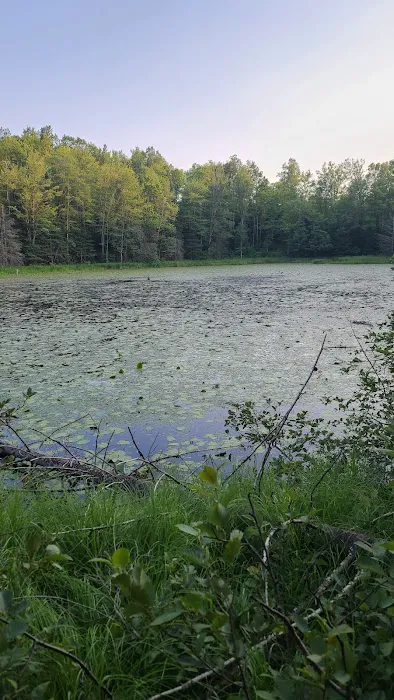 OTTER LAKE CAMPGROUND Picture 3