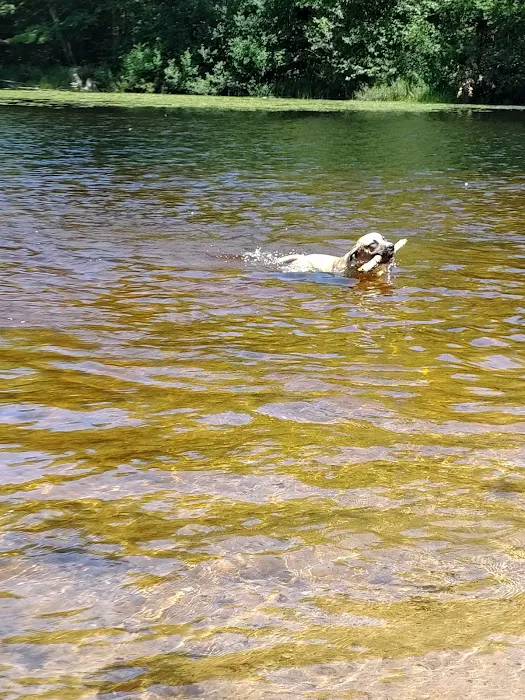 OTTER LAKE CAMPGROUND Picture 5