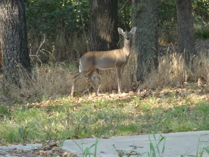 Wind Point Park Picture 7