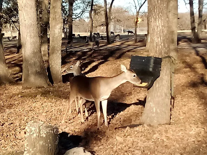 Wind Point Park Picture 6