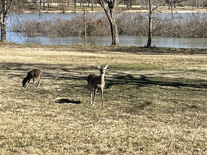 Wind Point Park Picture 8