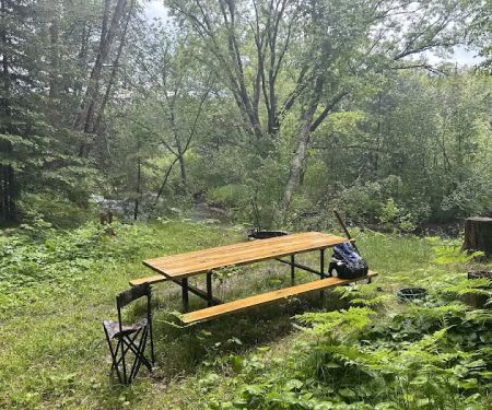 Rainbow Rapids Canoe Campsite