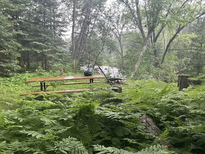 Rainbow Rapids Canoe Campsite Picture 3