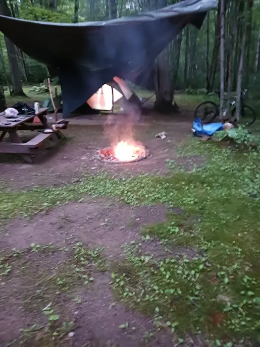 Terrace View Campsites Picture 7