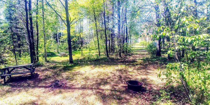 Tomahawk Campground & RV Park Picture 8