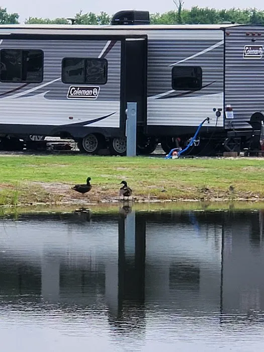 Premier RV Park Picture 10
