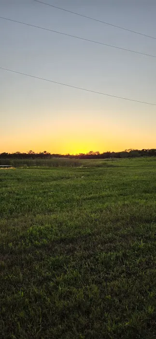 Brushy Creek Resort Picture 6
