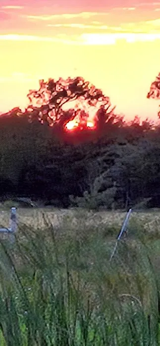 Brushy Creek Resort Picture 8