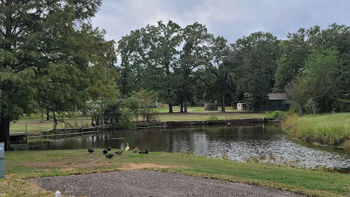 Emory Oaks RV Park Picture 1