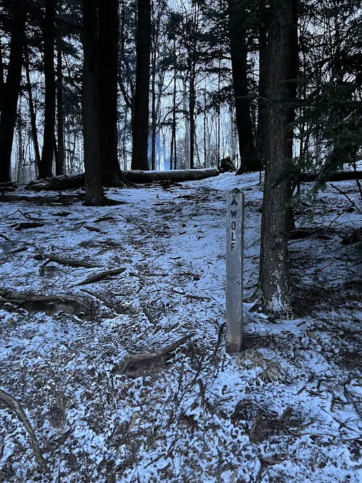 Wolf Campground Picture 4