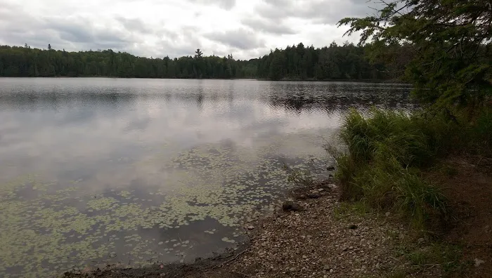 Wolf Campground Picture 5