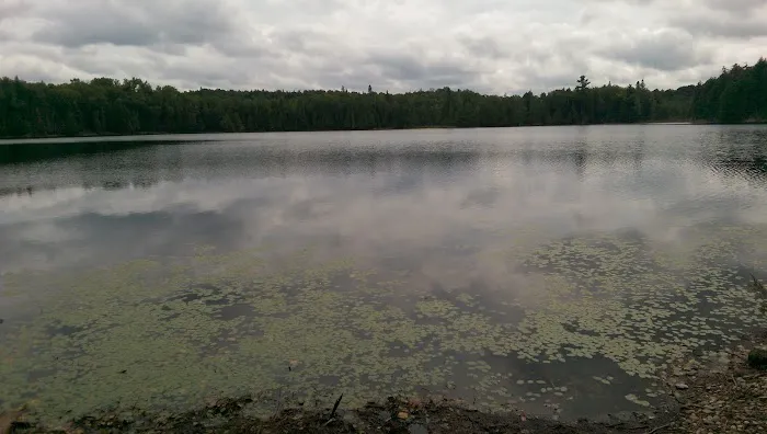 Wolf Campground Picture 7