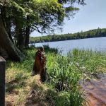 Bear Campground