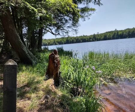 Bear Campground