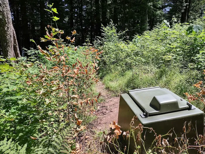 Bear Campground Picture 2