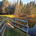Robbins Pond Campground