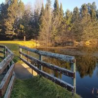 Robbins Pond Campground ico