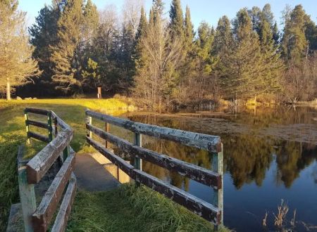 Robbins Pond Campground