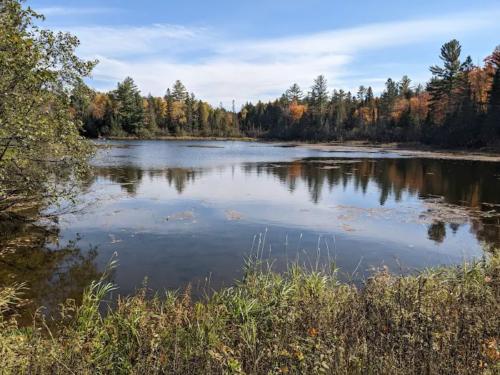 Robbins Pond Campground Picture 6