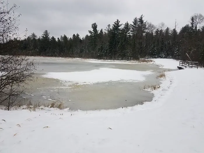 Robbins Pond Campground Picture 9