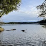 Mink Campground