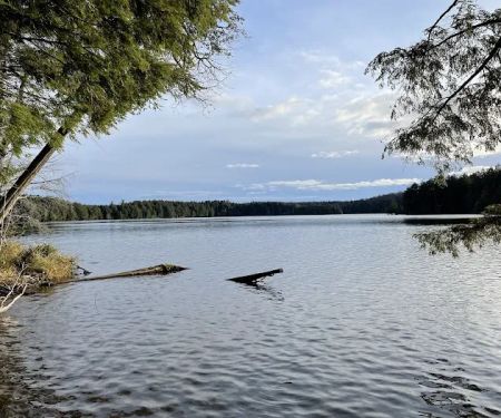 Mink Campground