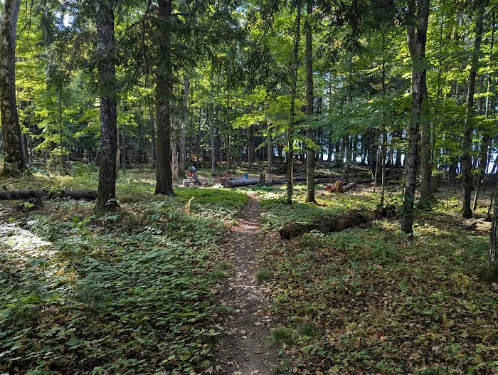 Mink Campground Picture 3