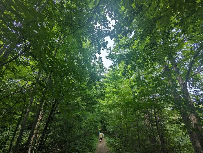 Marquette County Perkins Park & Campground Picture 9