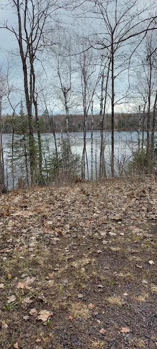 Courtney Lake Campground Picture 2