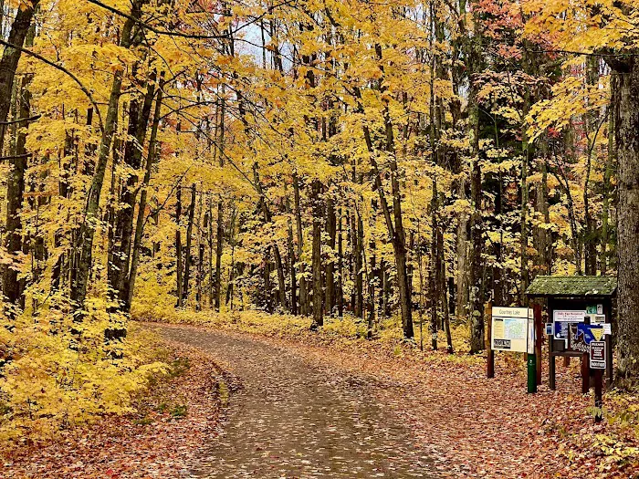 Courtney Lake Campground Picture 4