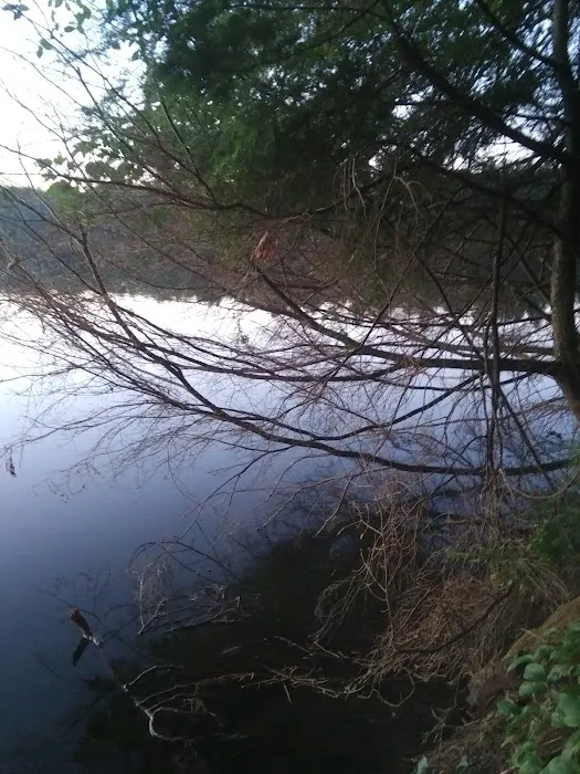 Courtney Lake Campground Picture 6