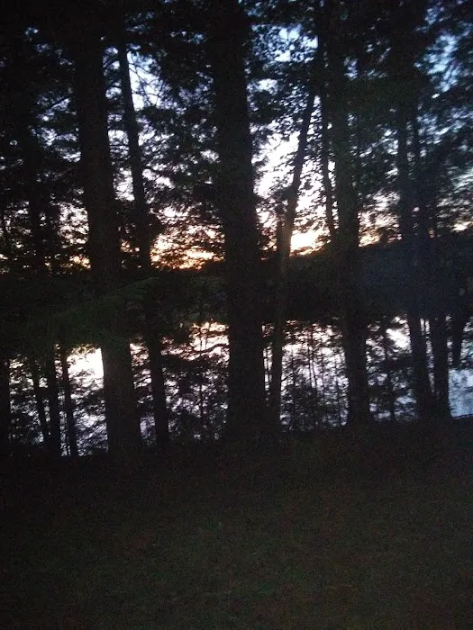 Courtney Lake Campground Picture 8