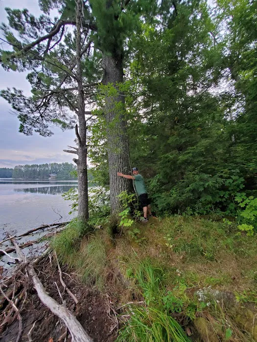 Emily Lake State Forest Campground Picture 2