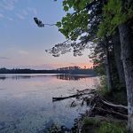 Emily Lake State Forest Campground