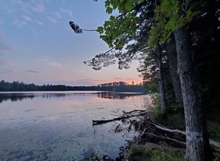 Emily Lake State Forest Campground