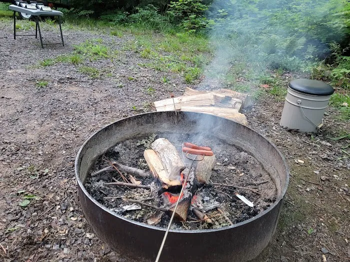 Emily Lake State Forest Campground Picture 4