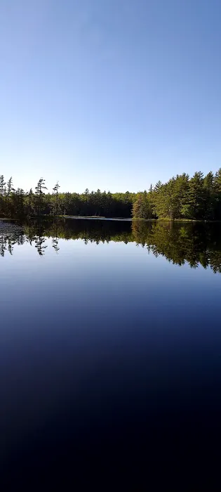 Emily Lake State Forest Campground Picture 7