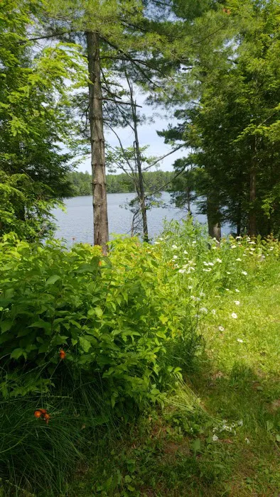 Emily Lake State Forest Campground Picture 10