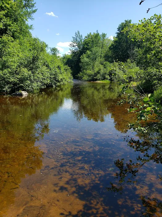 Big Eric's Bridge State Forest Campground Picture 2