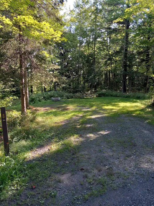 Big Eric's Bridge State Forest Campground Picture 5