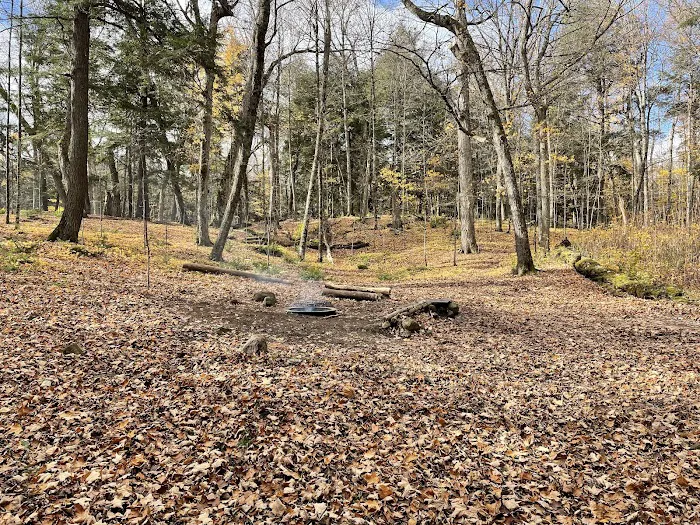 Eagle Campground Picture 4