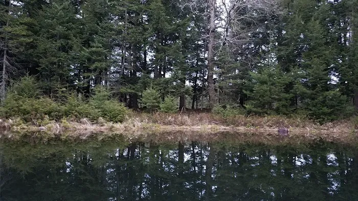 Eagle Campground Picture 8