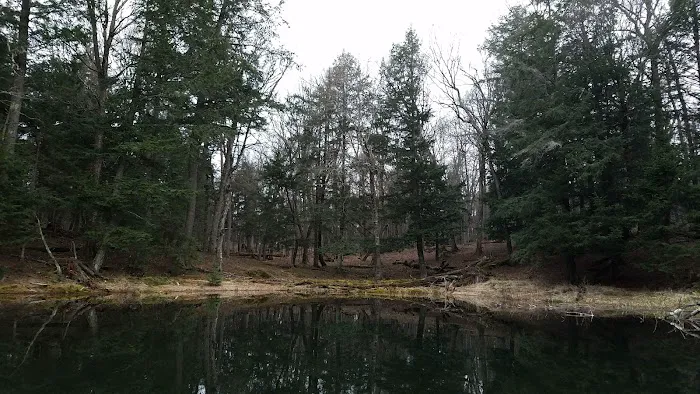 Eagle Campground Picture 7