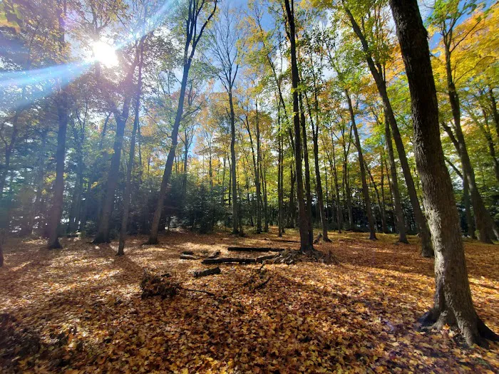 Loon Campground Picture 1